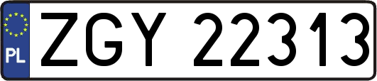 ZGY22313