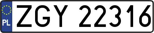 ZGY22316