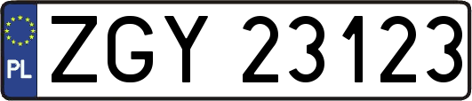ZGY23123
