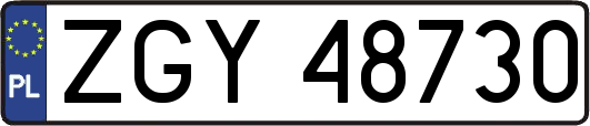ZGY48730