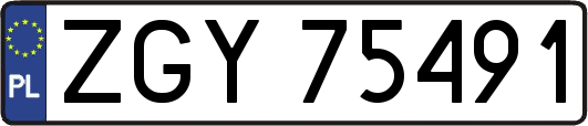 ZGY75491
