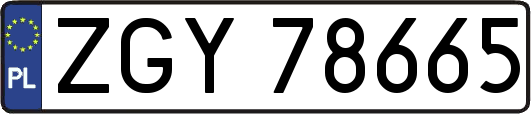 ZGY78665