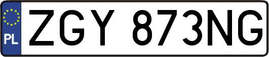 ZGY873NG