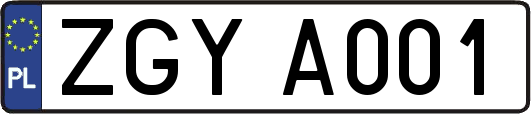 ZGYA001