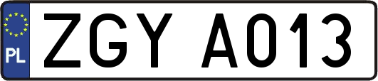 ZGYA013