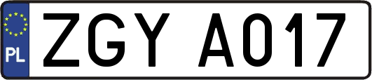 ZGYA017