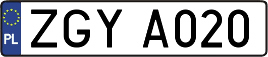 ZGYA020