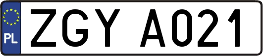 ZGYA021