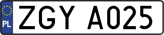 ZGYA025