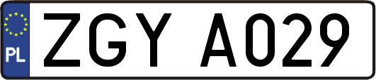 ZGYA029