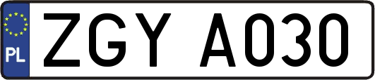 ZGYA030