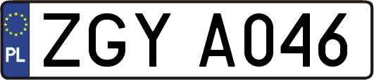 ZGYA046