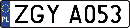 ZGYA053
