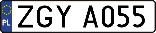 ZGYA055