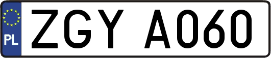 ZGYA060