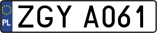 ZGYA061