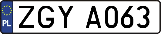 ZGYA063