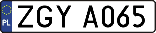 ZGYA065
