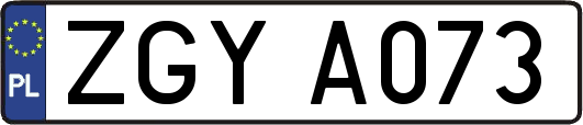 ZGYA073