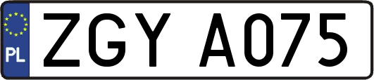 ZGYA075