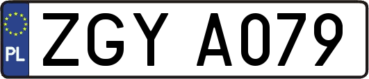 ZGYA079