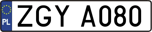 ZGYA080