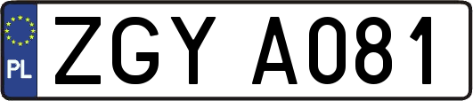 ZGYA081