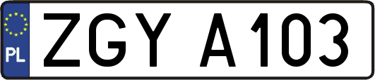 ZGYA103