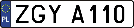 ZGYA110