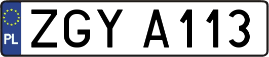 ZGYA113