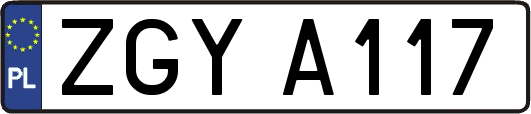ZGYA117