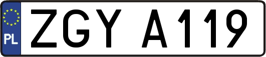 ZGYA119