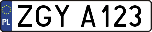ZGYA123