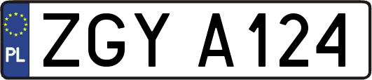 ZGYA124