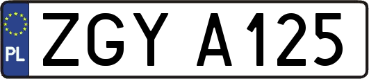 ZGYA125