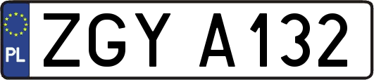 ZGYA132