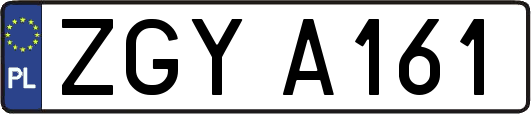 ZGYA161
