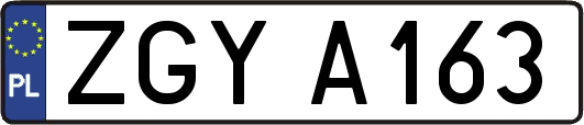 ZGYA163