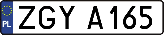 ZGYA165