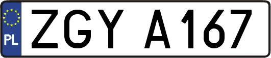 ZGYA167