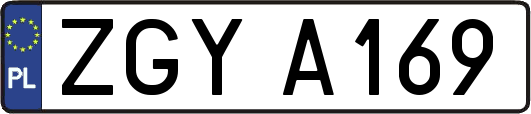 ZGYA169