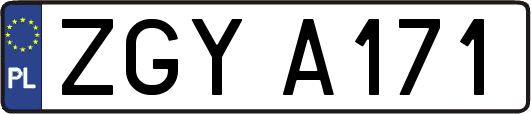 ZGYA171
