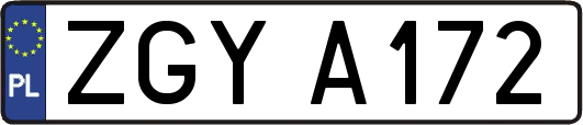 ZGYA172