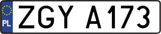ZGYA173