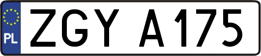 ZGYA175