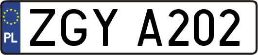 ZGYA202