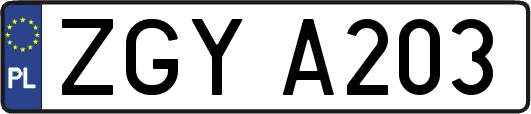 ZGYA203