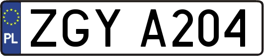 ZGYA204