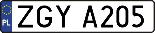 ZGYA205