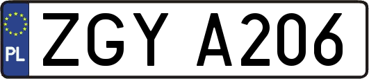 ZGYA206